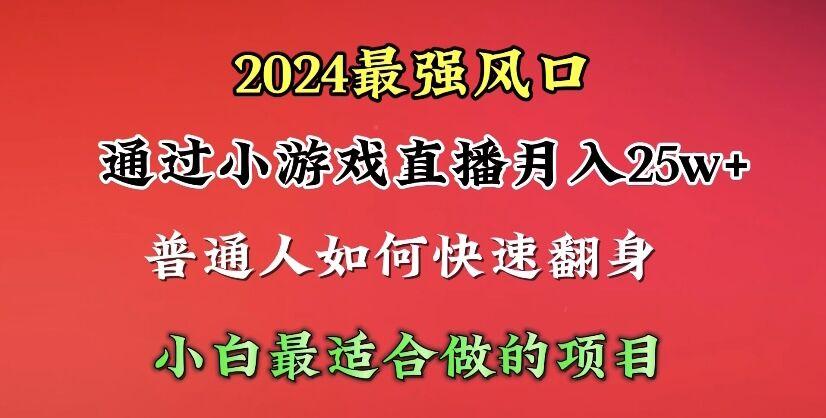 (10020期)2024年最强风口，通过小游戏直播月入25w+单日收益5000+小白最适合做的项目-小鹏项目网