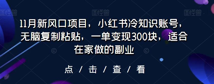 11月新风口项目，小红书冷知识账号，无脑复制粘贴，一单变现300块，适合在家做的副业-小鹏项目网