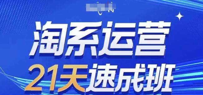 淘系运营21天速成班(更新24年7月)，0基础轻松搞定淘系运营，不做假把式-小鹏项目网