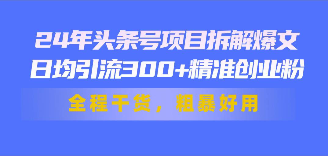 24年头条号项目拆解爆文，日均引流300+精准创业粉，全程干货，粗暴好用-小鹏项目网
