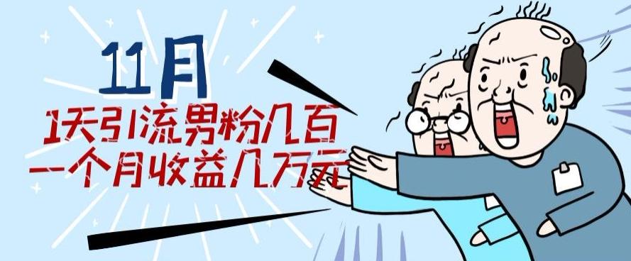11月最新每天引流男粉300+一个月收益几万元-小鹏项目网