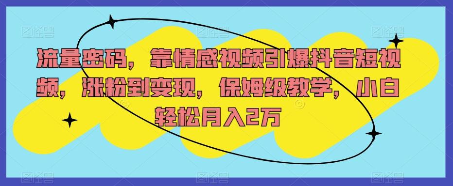 流量密码，靠情感视频引爆抖音短视频，涨粉到变现，保姆级教学，小白轻松月入2万【揭秘】-小鹏项目网