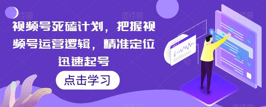 视频号死磕计划，把握视频号运营逻辑，精准定位迅速起号-小鹏项目网