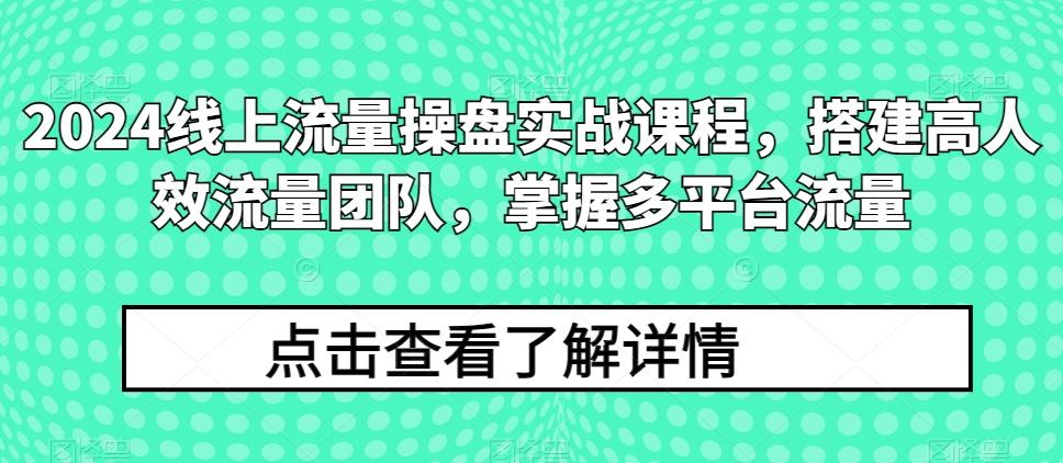 2024线上流量操盘实战课程，搭建高人效流量团队，掌握多平台流量-小鹏项目网