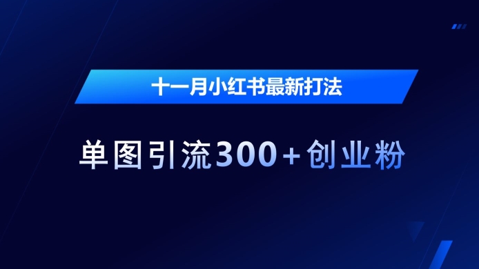 十一月小红书最新打法，单图引流300+创业粉【揭秘】-小鹏项目网