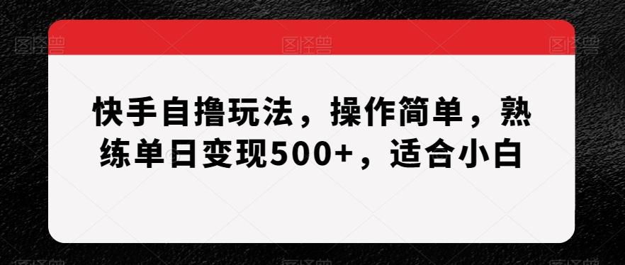 快手自撸玩法，操作简单，熟练单日变现500+，适合小白【揭秘】-小鹏项目网