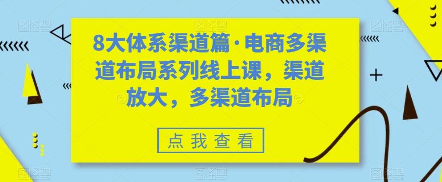 8大体系渠道篇·电商多渠道布局系列线上课，渠道放大，多渠道布局-小鹏项目网