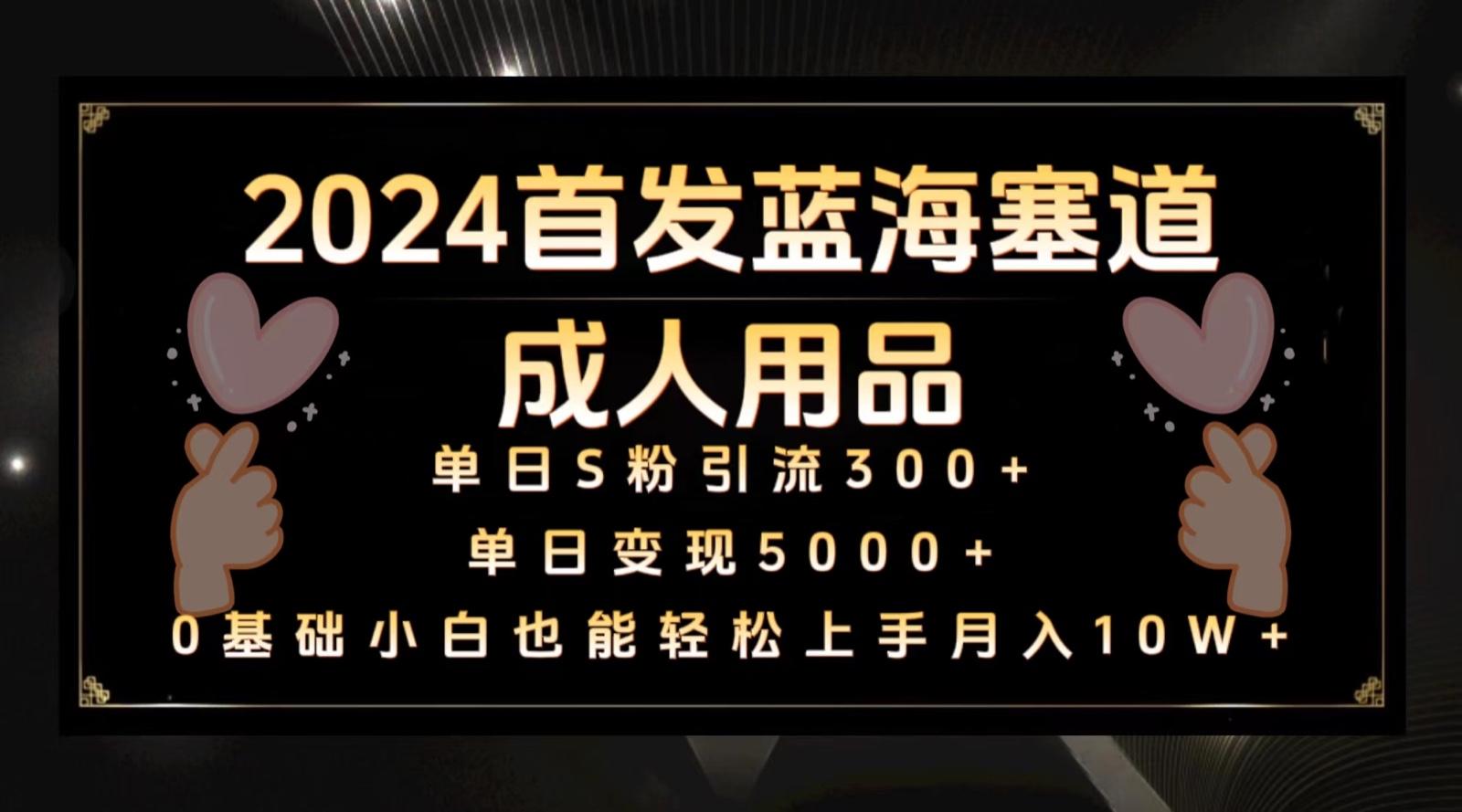 2024首发蓝海塞道成人用品，月入10W+保姆教程-小鹏项目网