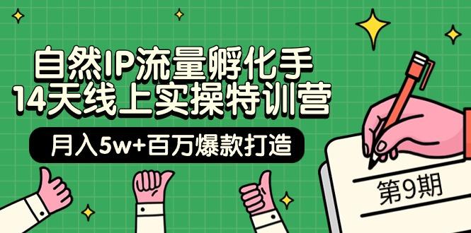 (9881期)自然IP流量孵化手 14天线上实操特训营【第9期】月入5w+百万爆款打造 (74节)-小鹏项目网