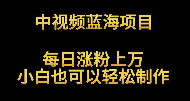 中视频蓝海项目，解读英雄人物生平，每日涨粉上万，小白也可以轻松制作，月入过万不是梦【揭秘】-小鹏项目网