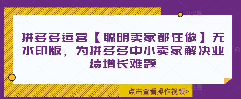 拼多多运营【聪明卖家都在做】无水印版，为拼多多中小卖家解决业绩增长难题-小鹏项目网