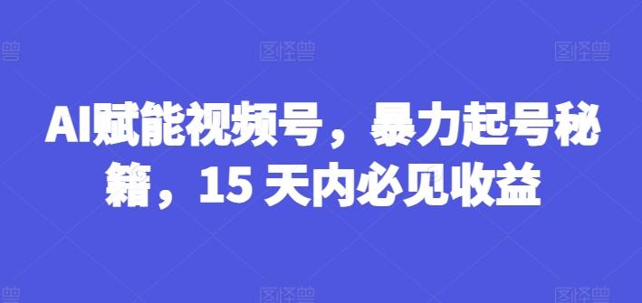 AI赋能视频号，暴力起号秘籍，15 天内必见收益【揭秘】-小鹏项目网