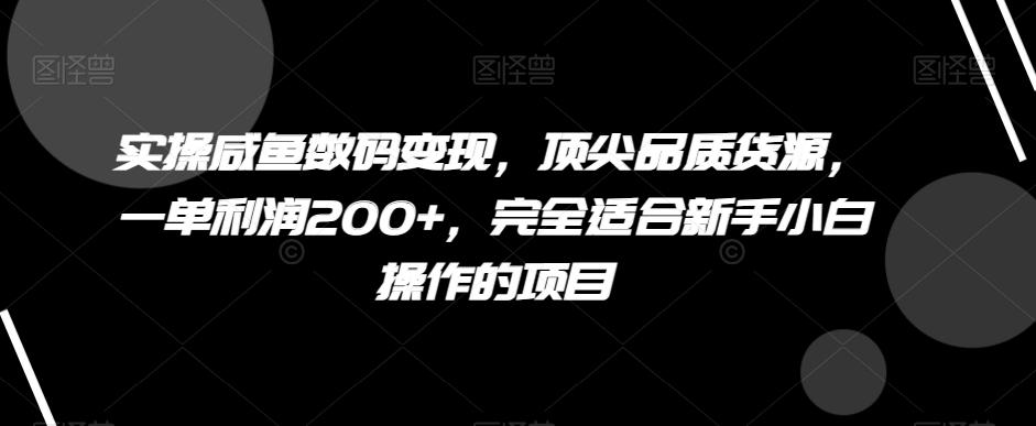 实操咸鱼数码变现，顶尖品质货源，一单利润200+，完全适合新手小白操作的项目【揭秘】-小鹏项目网