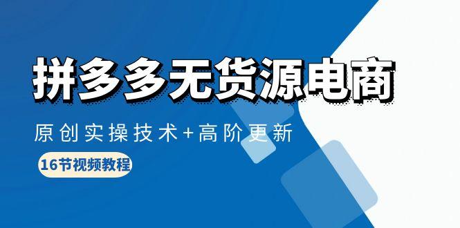 (10015期)拼多多无货源电商，原创实操技术+高阶更新(16节视频教程)-小鹏项目网
