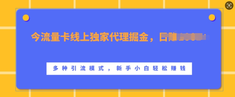 流量卡线上独家代理掘金，日入1k+ ，多种引流模式，新手小白轻松上手【揭秘】-小鹏项目网