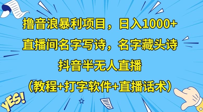 撸音浪暴利项目，日入1000+，直播间名字写诗，名字藏头诗，抖音半无人直播（教程+打字软件+直播话术）【揭秘】-小鹏项目网