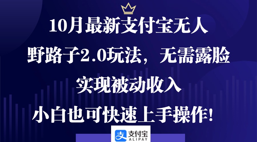 10月最新支付宝无人野路子2.0玩法，无需露脸，实现被动收入，小白也可...-小鹏项目网