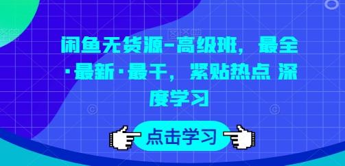 闲鱼无货源-高级班，最全·最新·最干，紧贴热点 深度学习-小鹏项目网