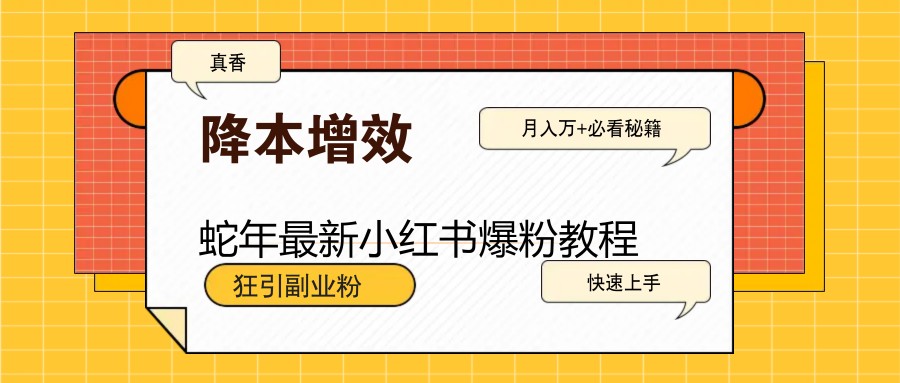 蛇年最新小红书爆粉教程，狂引副业粉，月入万+必看-小鹏项目网