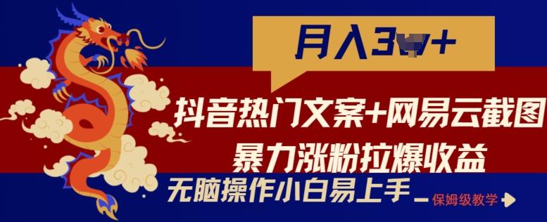 抖音热门文案+网易云截图暴力涨粉拉爆收益玩法，小白无脑操作，简单易上手【揭秘】-小鹏项目网