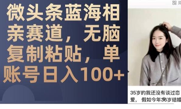 微头条蓝海相亲赛道，无脑复制粘贴，单账号日入100+-小鹏项目网
