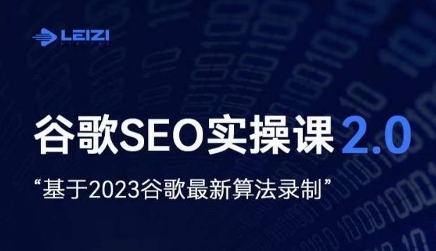 雷子·谷歌SEO 2.0实战课，独立站询盘自由必备，基于2023谷歌最新算法录制-小鹏项目网