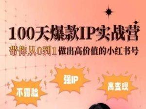 小红书100天爆款IP实战营，带你从0到1做出高价值的小红书号-小鹏项目网