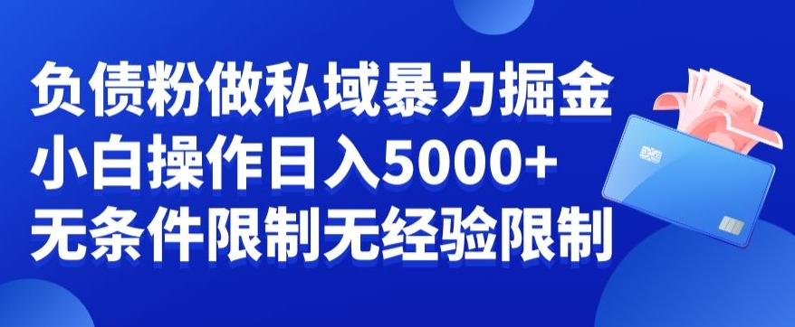 负债粉私域暴力掘金，小白操作入5000，无经验限制，无条件限制【揭秘】-小鹏项目网