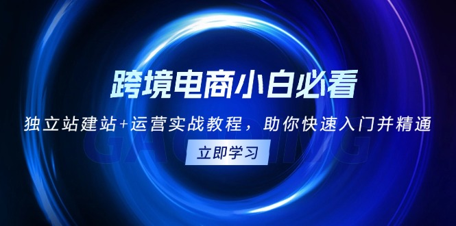 跨境电商小白必看！独立站建站+运营实战教程，助你快速入门并精通-小鹏项目网