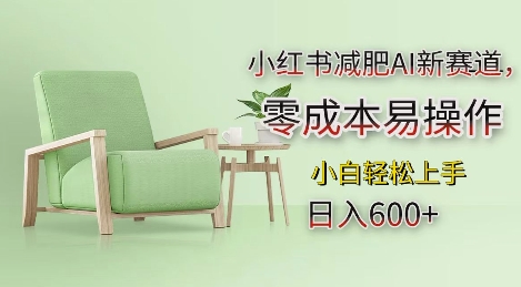 小红书减肥AI新赛道，零成本易操作，日入多张，小白轻松上手【揭秘】-小鹏项目网