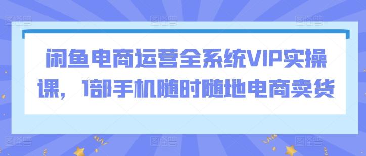 闲鱼电商运营全系统VIP实操课，1部手机随时随地电商卖货-小鹏项目网