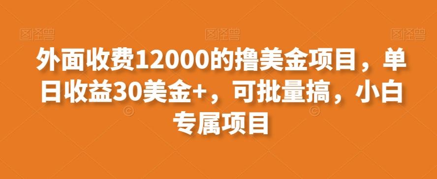 外面收费12000的撸美金项目，单日收益30美金+，可批量搞，小白专属项目-小鹏项目网
