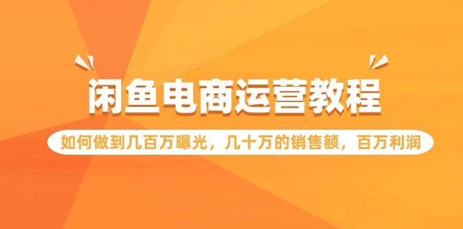 (9560期)闲鱼电商运营教程：如何做到几百万曝光，几十万的销售额，百万利润-小鹏项目网