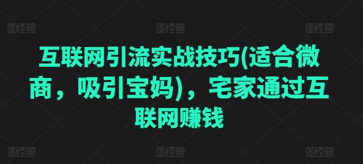 互联网引流实战技巧(适合微商，吸引宝妈)，宅家通过互联网赚钱-小鹏项目网