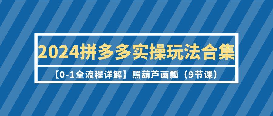 (9559期)2024拼多多实操玩法合集【0-1全流程详解】照葫芦画瓢(9节课)-小鹏项目网