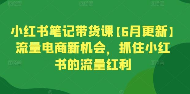小红书笔记带货课【6月更新】流量电商新机会，抓住小红书的流量红利-小鹏项目网