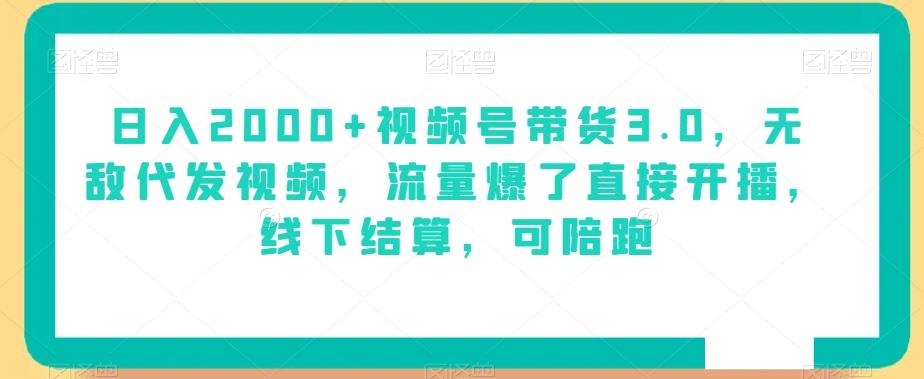 日入2000+视频号带货3.0，无敌代发视频，流量爆了直接开播，线下结算，可陪跑-小鹏项目网
