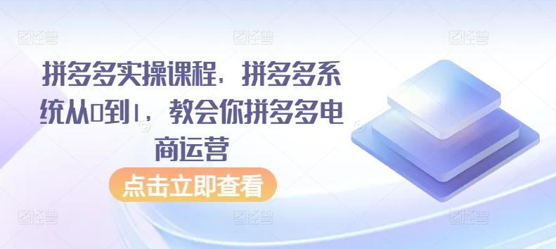 拼多多实操课程，拼多多系统从0到1，教会你拼多多电商运营-小鹏项目网