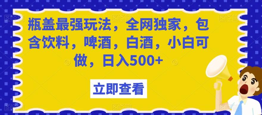 瓶盖最强玩法，全网独家，包含饮料，啤酒，白酒，小白可做，日入500+【揭秘】-小鹏项目网