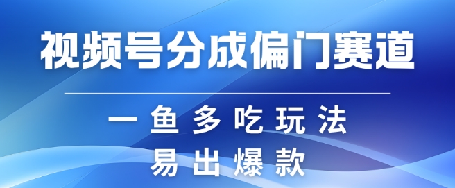 视频号创作者分成计划偏门类目，容易爆流，实拍内容简单易做【揭秘】-小鹏项目网