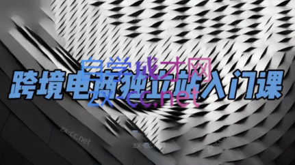 团长·跨境电商独立站入门课(2小时精华)-小鹏项目网