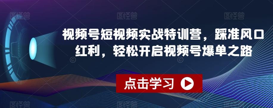 视频号短视频实战特训营，踩准风口红利，轻松开启视频号爆单之路-小鹏项目网