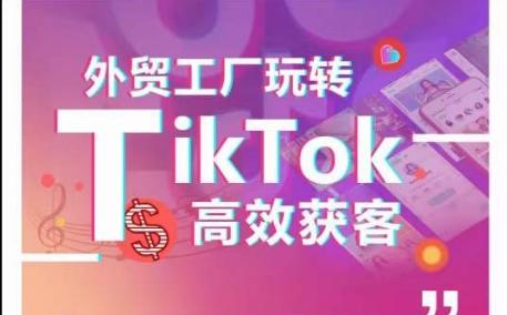 外贸工厂玩转TikTok高效获客，多种引流方式与账号定位技巧，拆解爆款短视频打造成功案例-小鹏项目网
