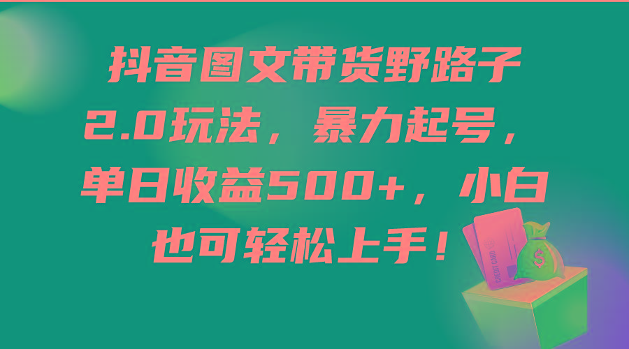 (9790期)抖音图文带货野路子2.0玩法，暴力起号，单日收益500+，小白也可轻松上手！-小鹏项目网