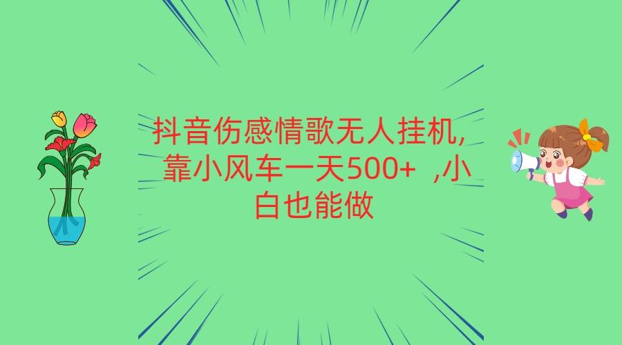 抖音伤感情歌无人挂机 靠小风车一天500+ 小白也能做-小鹏项目网