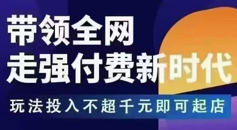王校长·万金油强付费玩法(更新3.16杭州线下)-小鹏项目网