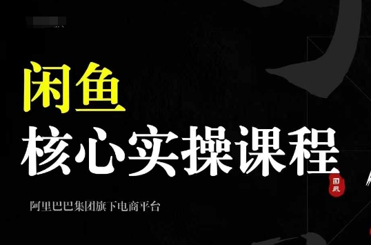 2024闲鱼核心实操课程，从养号、选品、发布、销售，教你做一个出单的闲鱼号-小鹏项目网