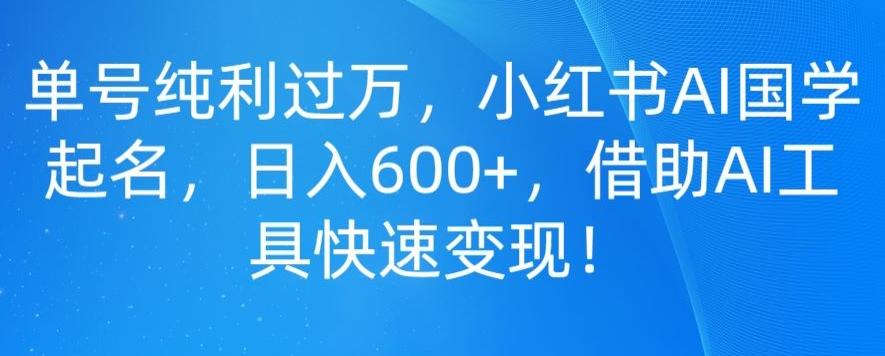 单号纯利过万，小红书AI国学起名，日入600+，借助AI工具快速变现-小鹏项目网