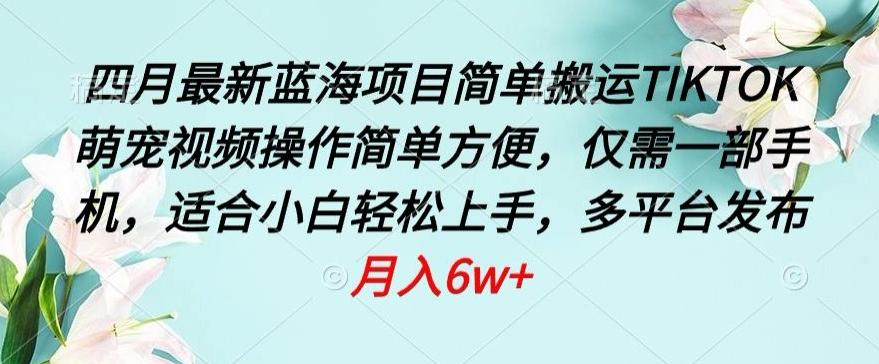 四月最新蓝海项目，简单搬运TIKTOK萌宠视频，操作简单方便，仅需一部手机【揭秘】-小鹏项目网
