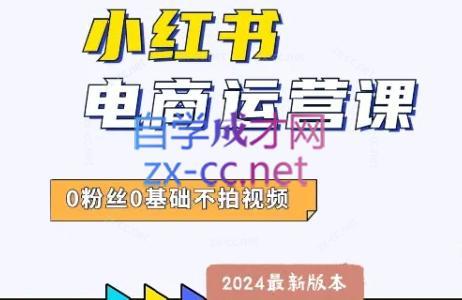 达哥·小红书电商运营(2024版)-小鹏项目网